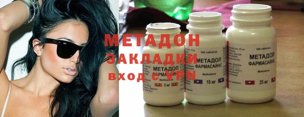 прущие грибы Верея