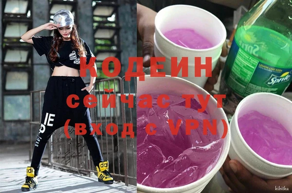 прущие грибы Верея