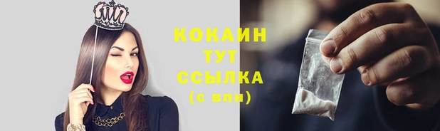 гашик Бронницы