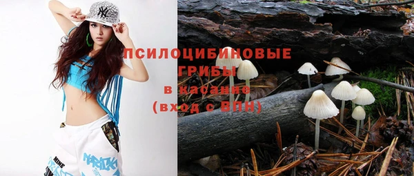 гашик Бронницы