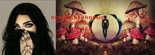 гашик Бронницы